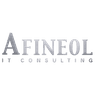 afineol it consulting