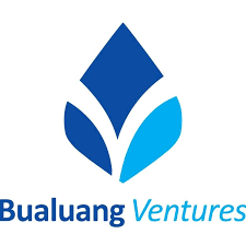 BUALUANG VENTURES