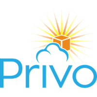 PRIVO IT LLC