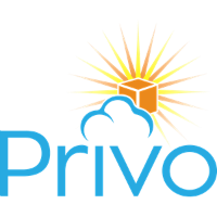 PRIVO IT LLC