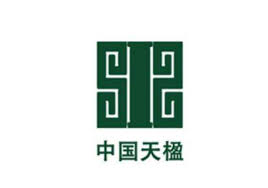 CHINA TIANYING INC