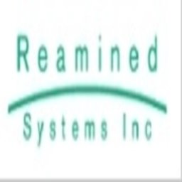 REAMINED SYSTEMS INC