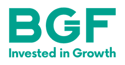 Bgf Investments