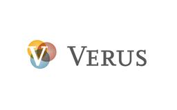 VERUS INVESTMENT PARTNERS