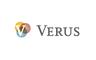 VERUS INVESTMENT PARTNERS