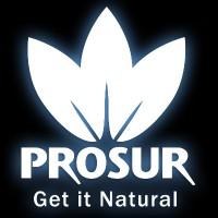 PROSUR SA