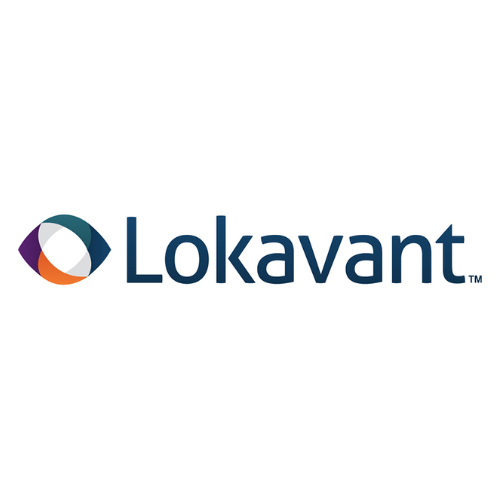 LOKAVANT INC