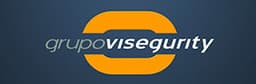 GRUPO VISEGURITY