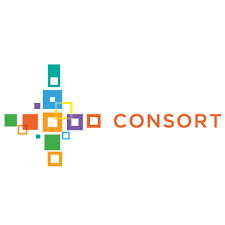 Consort Partners