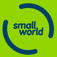 Small World Financial Servies