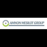 Amnon Mesilot