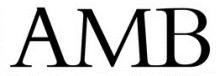 AMB HOLDINGS LTD