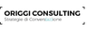 origgi consulting