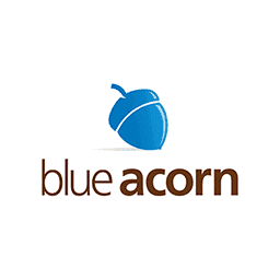 BLUE ACORN ICI