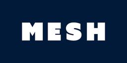 Mesh Ventures