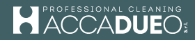 ACCADUEO SRL