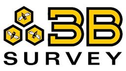 3B SURVEY