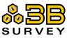 3b Survey