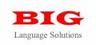 BIG LANGUAGE SOLUTIONS