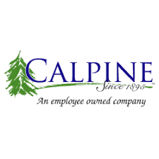 CALPINE CONTAINERS INC