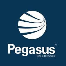 PEGASUS MANAGEMENT