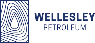 Wellesley (carmen Gas Condensate Discovery)
