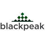 BLACKPEAK GROUP