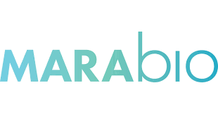 MARABIO SYSTEMS INC