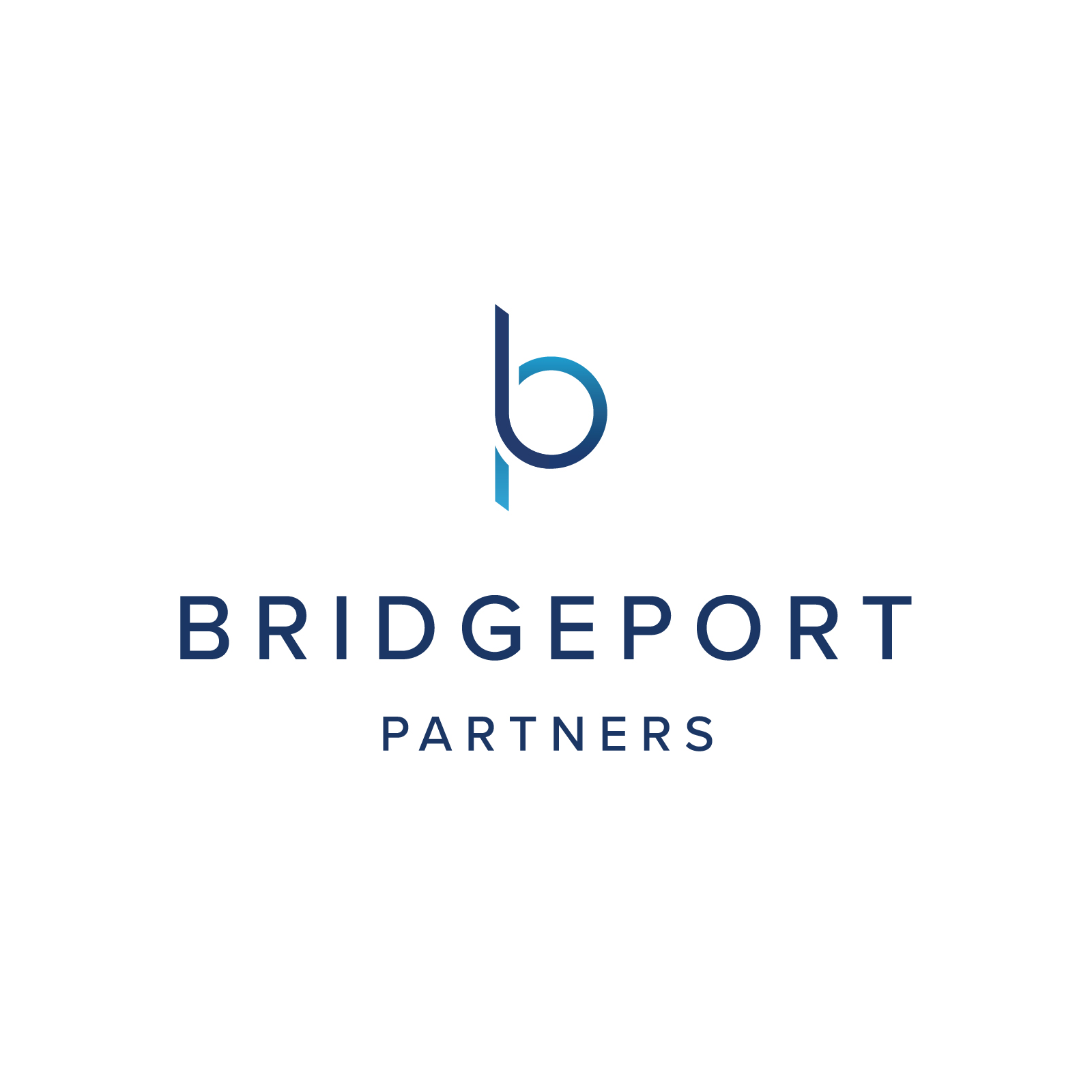 BRIDGEPORT PARTNERS