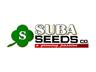 SUBA SEEDS