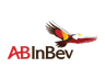 ANHEUSER BUSCH INBEV