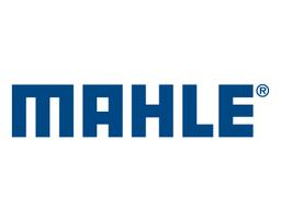 MAHLE (POWERTRAIN)
