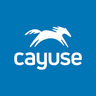 CAYUSE