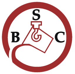 BAKU STEEL COMPANY