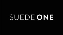 SUEDE ONE