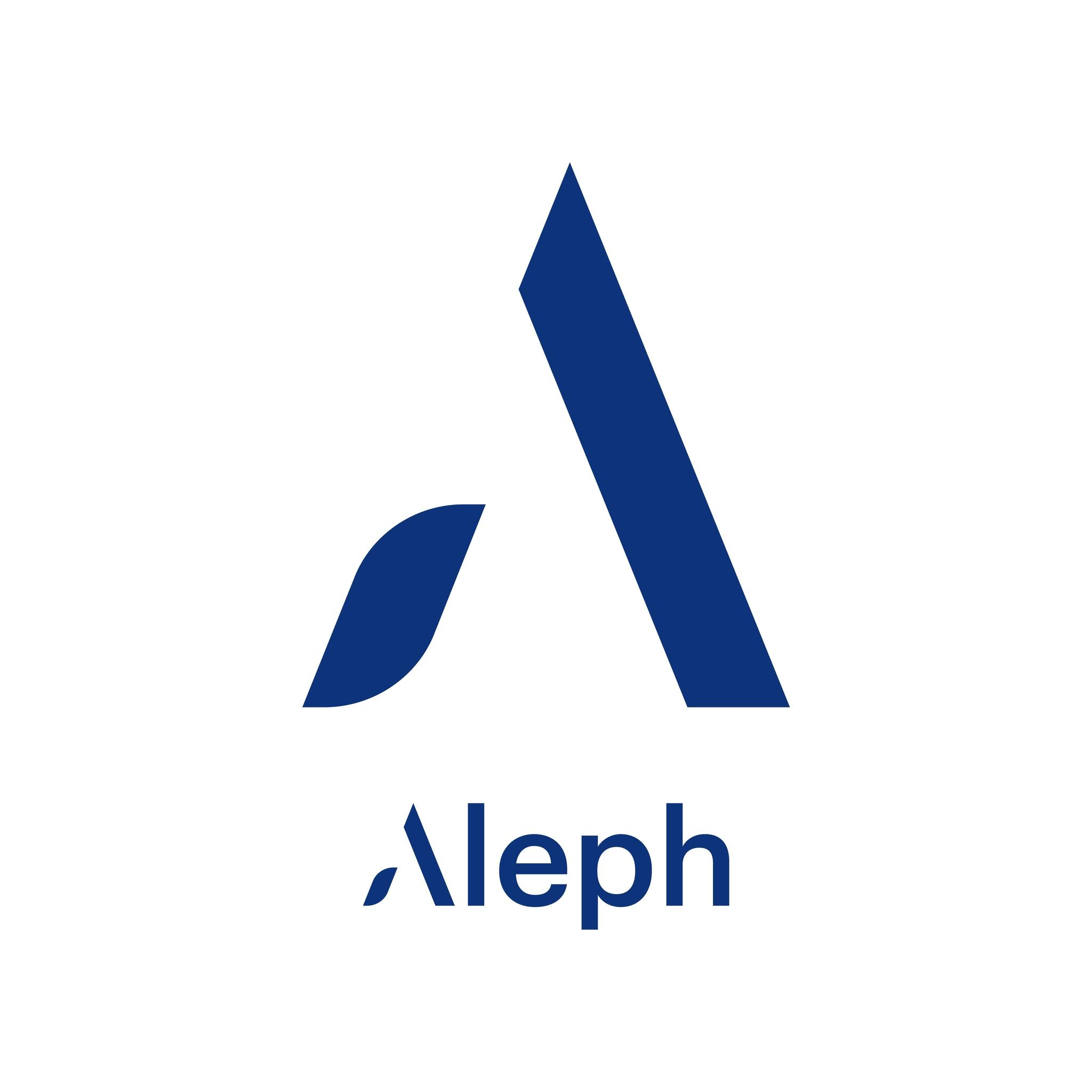 ALEPH GROUP INC