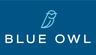 Blue Owl Capital