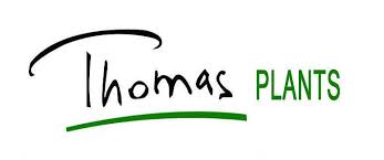 Thomas Plants