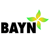 BAYN GROUP