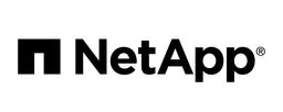 NETAPP (FINOPS BUSINESS)