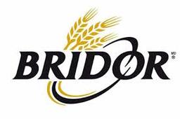 BRIDOR