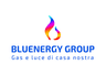 BLUENERGY GROUP