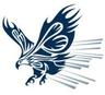 EAGLE EQUITY PARTNERS