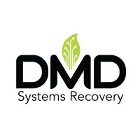 Dmd Systems Recovery