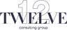 Twelve Consulting Group