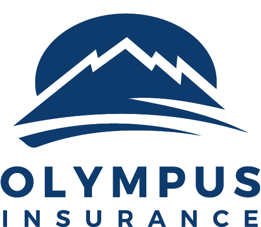OLYMPUS INSURANCE COMPANY