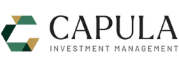 CAPULA INVESTMENT MANAGEMENT