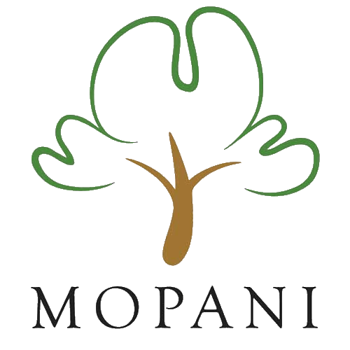 Mopani Copper Mines