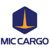 MAESTRO INTERNATIONAL CARGO