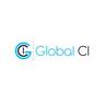 GLOBAL COMMERCE & INFORMATION INC